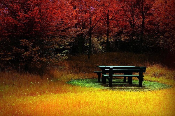 Green Furniture and Projects