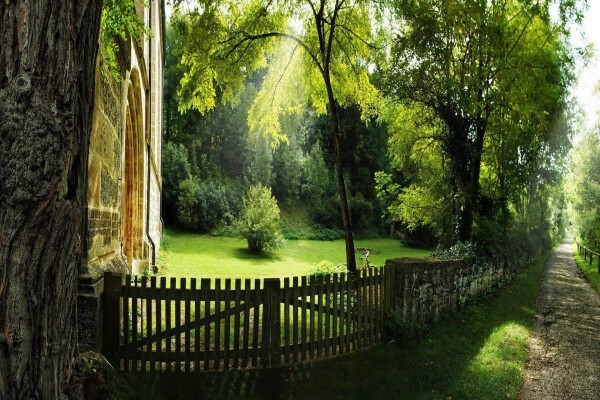 Green Furniture and Projects