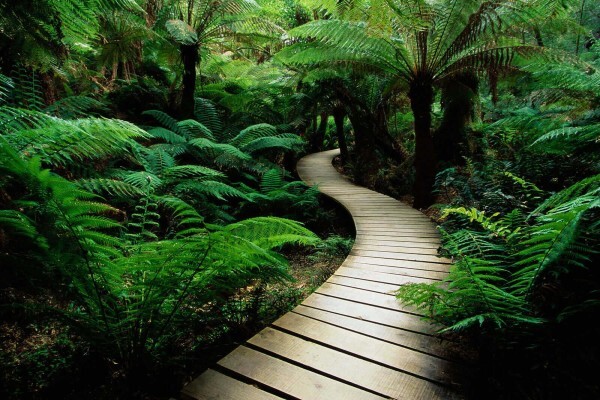 Green Furniture and Projects