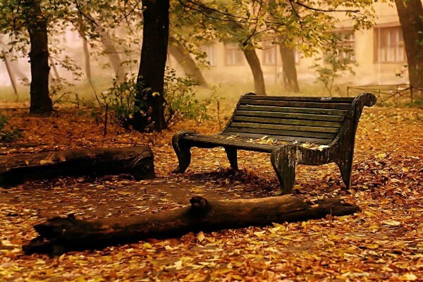 Green Furniture and Projects