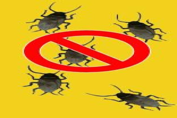 Libra Pest Control Services