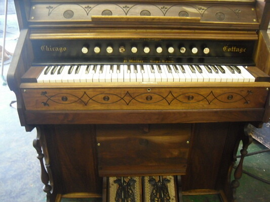 Green Organ Builders pty ltd