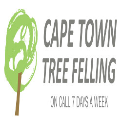 Cape Town Tree Felling