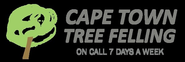 Cape Town Tree Felling