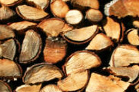 Cape Town Tree Felling