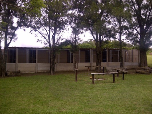 FOUR PAWS BOARDING KENNELS