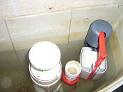 Stander Loodgieters / Plumbers