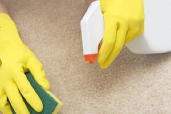 Cleaning Services Cape Town