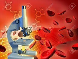 Dr Natalie Lundy Homeopath