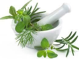 Dr Natalie Lundy Homeopath