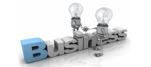 Insedlu Business Companion