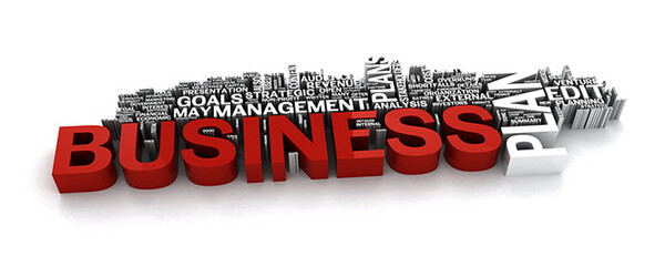 Insedlu Business Companion
