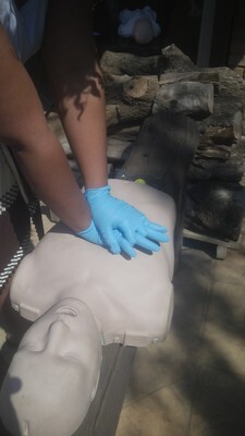 OHS Training
