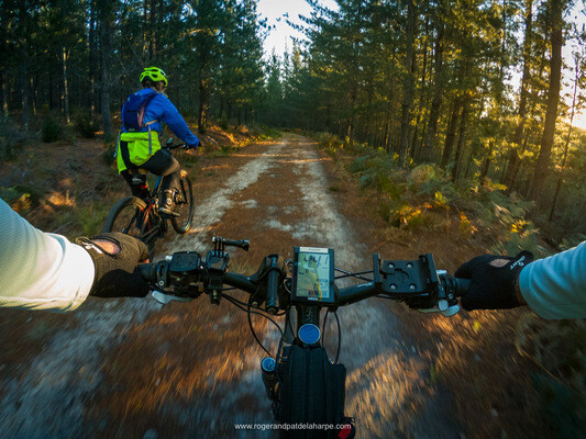 Roger and Pat de la Harpe Photography