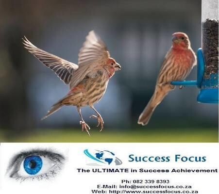 Success Focus - Life Coach Pretoria