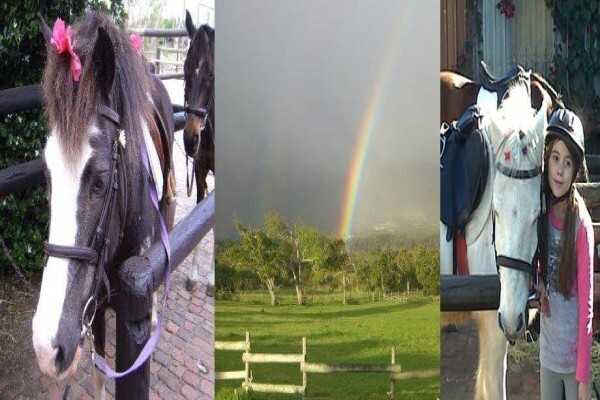 Sleepy Hollow Horse Riding 1