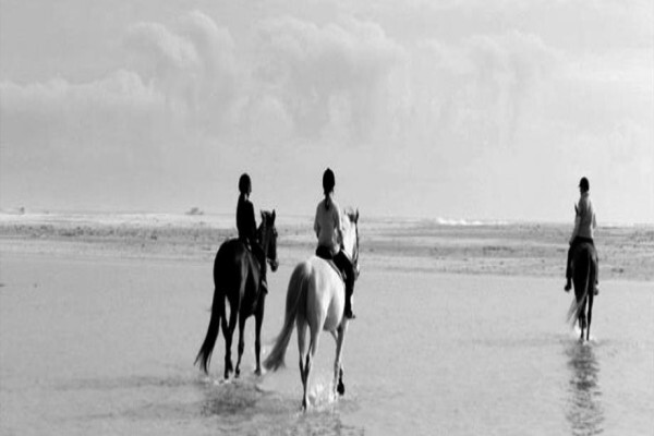 Sleepy Hollow Horse Riding 1