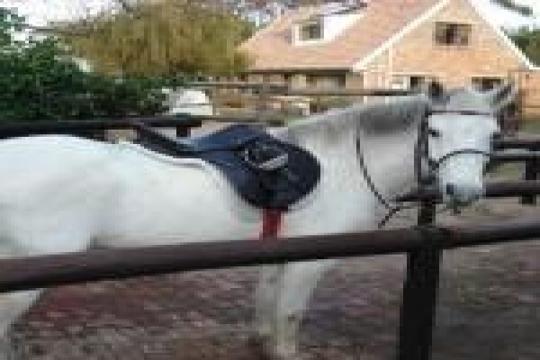 Sleepy Hollow Horse Riding 1