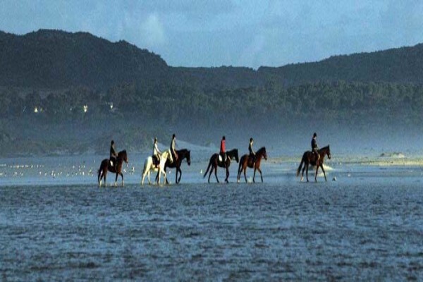 Sleepy Hollow Horse Riding 1