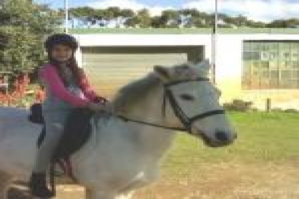 Sleepy Hollow Horse Riding 1