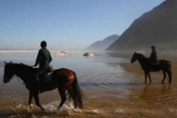 Sleepy Hollow Horse Riding 1