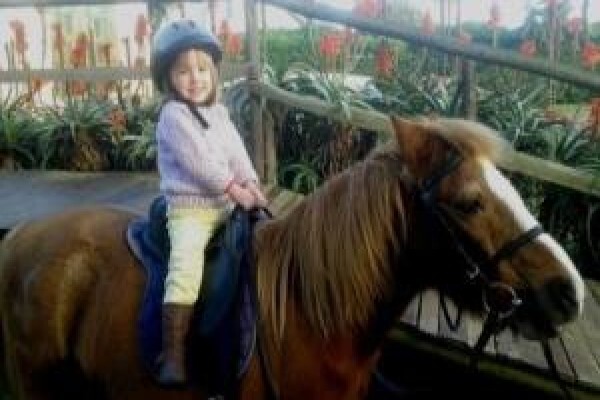 Sleepy Hollow Horse Riding 1