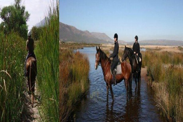 Sleepy Hollow Horse Riding 1