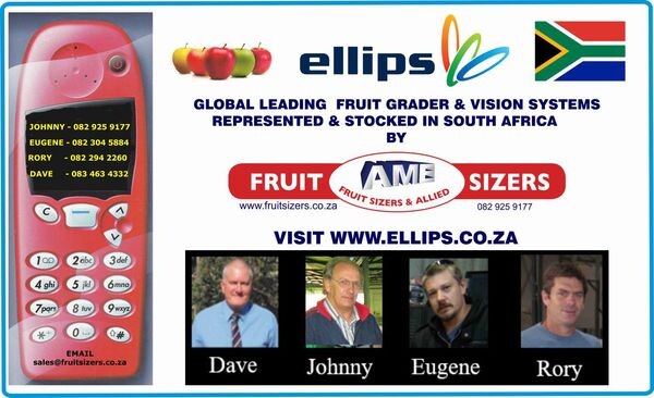 Fruit Sizers & Allied CC