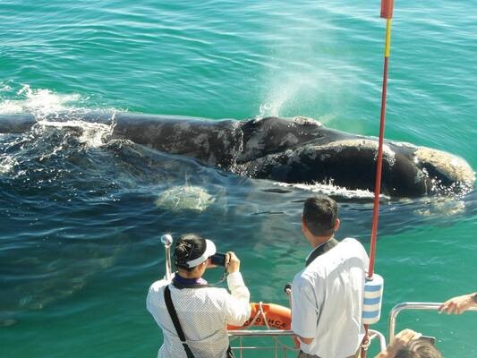 I Love Hermanus