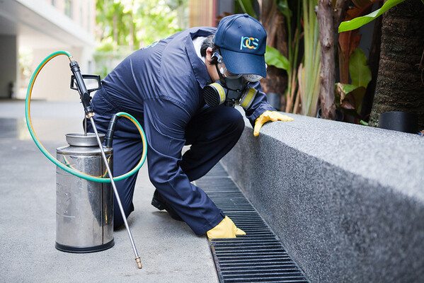 Pest Control Specialist