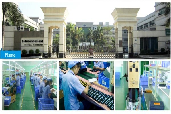 Batterieprofessionnel.com