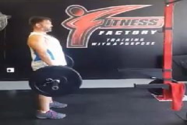 Fitness Factory