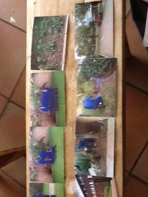 Sisho. Landscape & Garden Services