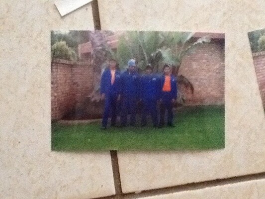 Sisho. Landscape & Garden Services