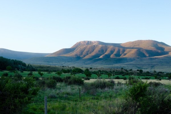 Stockdale