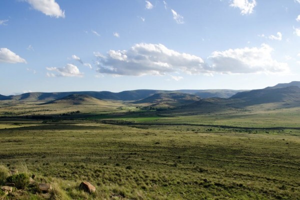 Stockdale