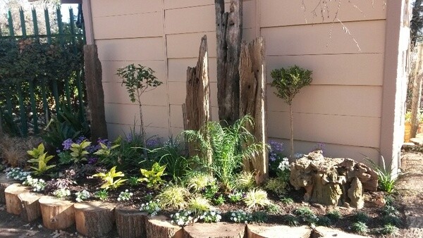 Kazimingi Nursery