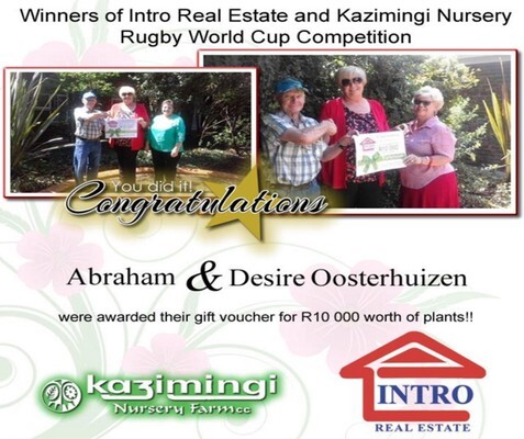 Kazimingi Nursery