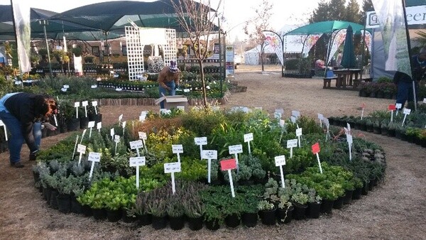 Kazimingi Nursery