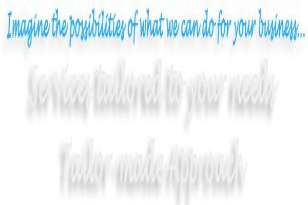 New Business Initiative Management Consultancy