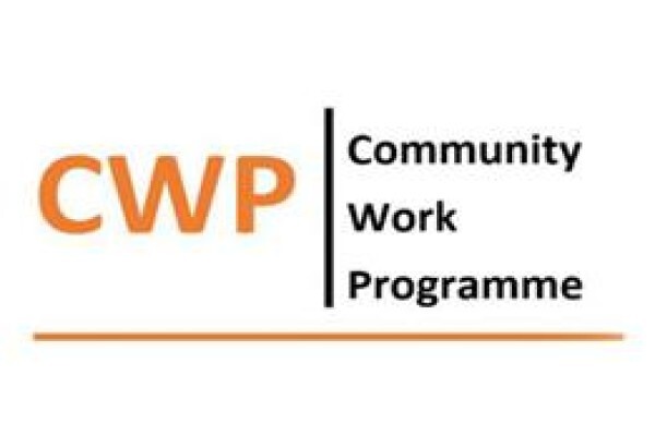 New Business Initiative Management Consultancy