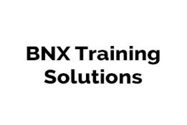 New Business Initiative Management Consultancy