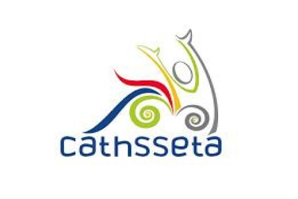 New Business Initiative Management Consultancy