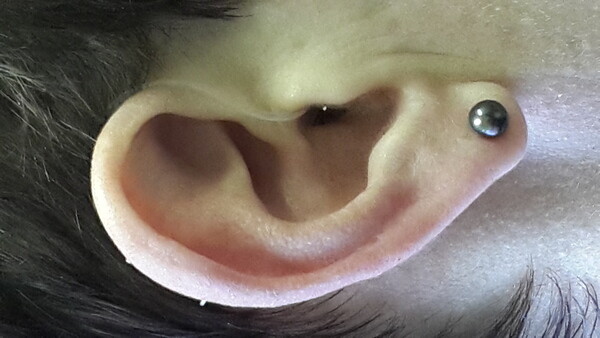Liesel van der Merwe Audiology