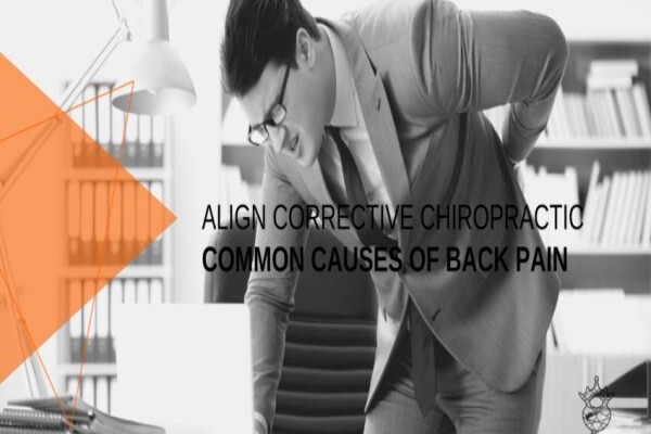 Back to Health Chiropractic