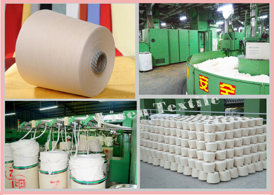 Xian lisen textile limited company