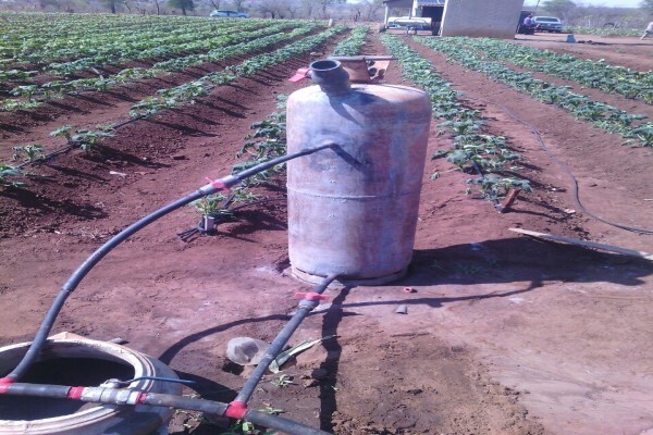 Madela Wa Zinjiva Farm