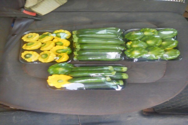 Madela Wa Zinjiva Farm