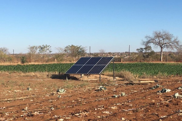 Madela Wa Zinjiva Farm