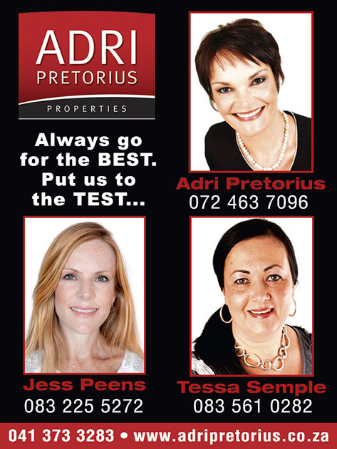 Adri Pretorius Properties